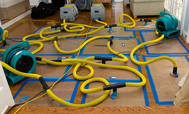 Professional Water Damage Repair technician working in Milltown, NJ